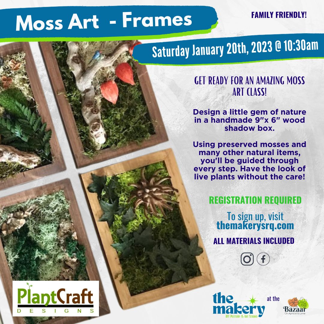 DIY Moss Tree Wall Art - Ben Franklin Crafts and Frame Shop